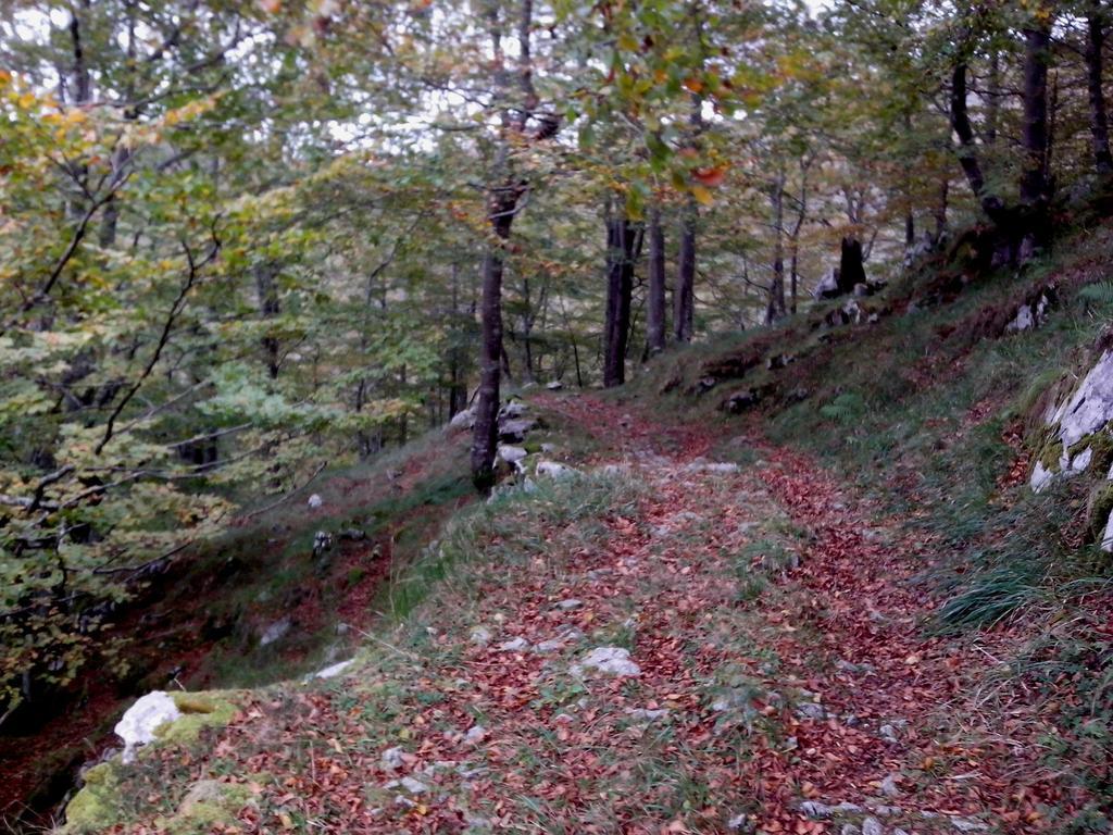 Вилла El Cerro Ла-Конча Экстерьер фото