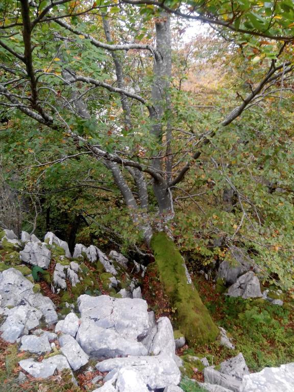 Вилла El Cerro Ла-Конча Экстерьер фото
